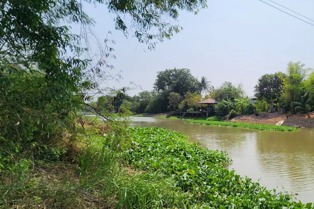 ภาพหน้าจอ_121125_024227_PM
