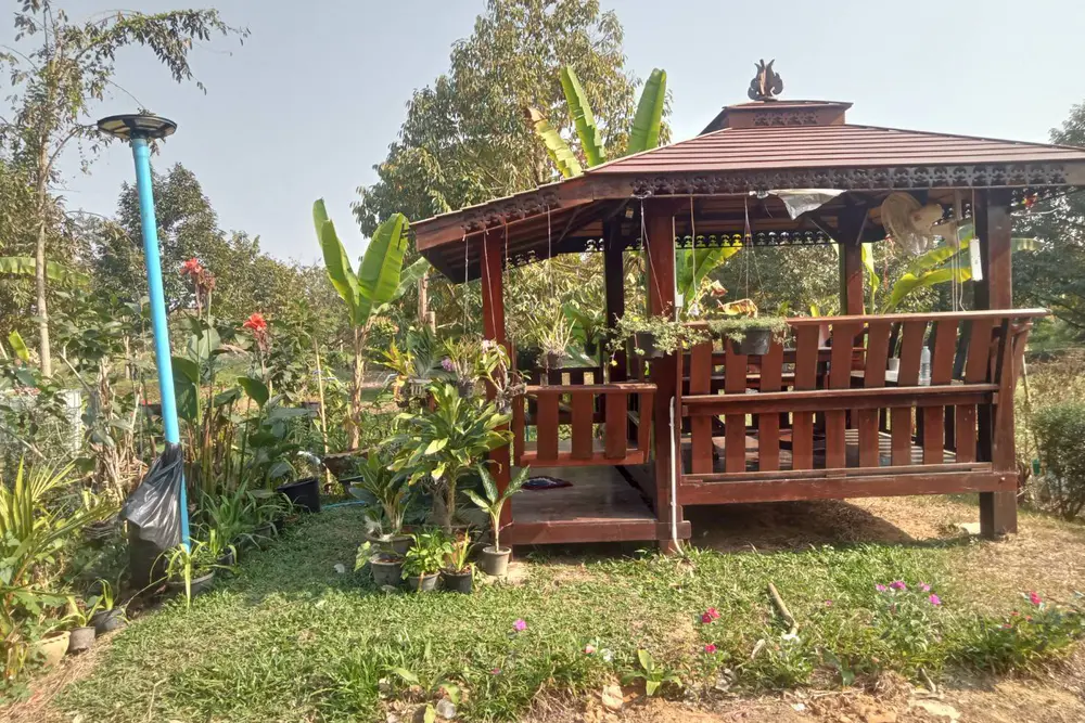 229832