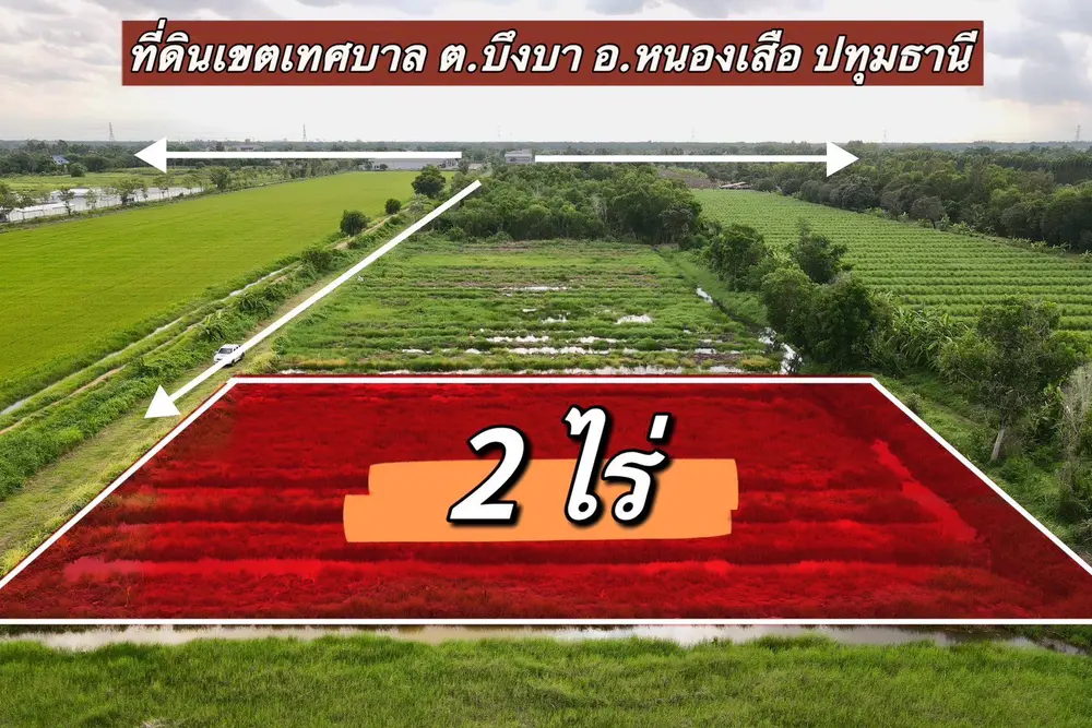 S__11567180_0
