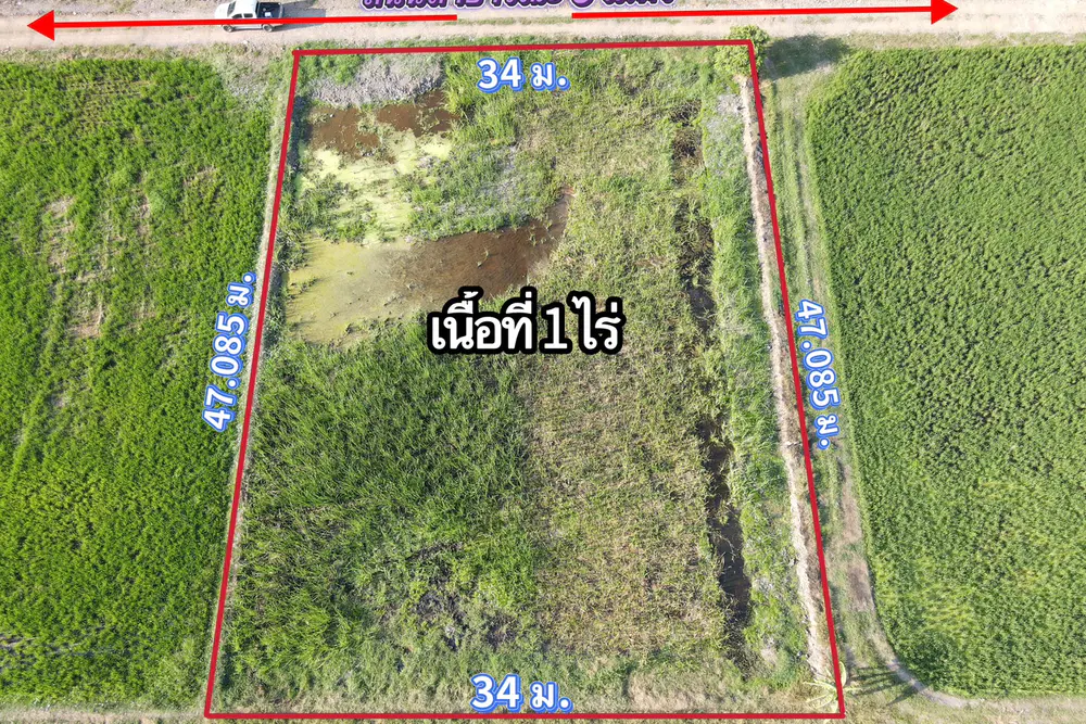 S__11583539