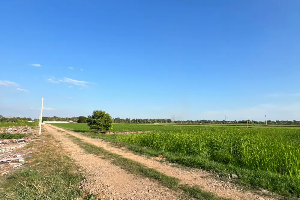 S__11583541
