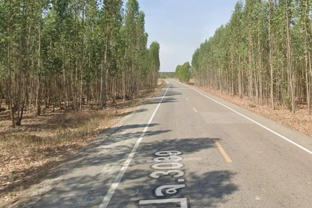 ภาพหน้าจอ_021926_013533_PM