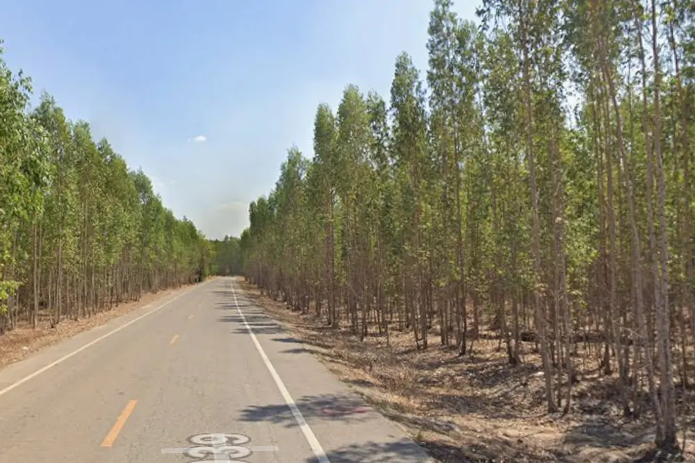 ภาพหน้าจอ_021926_013557_PM