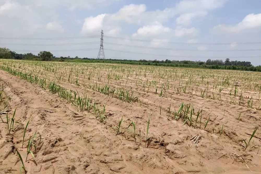 timeline_20221005_101122