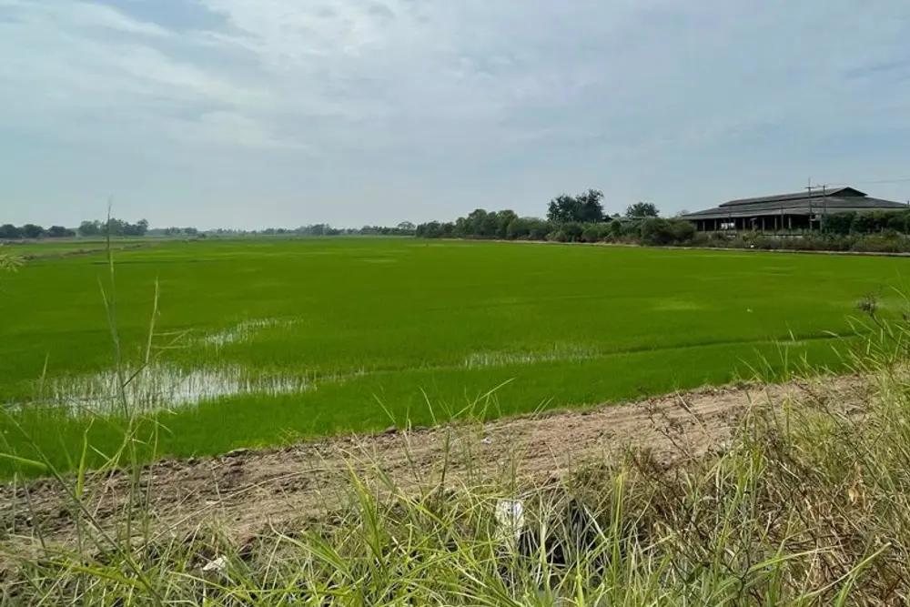 ภาพหน้าจอ_032026_103719_AM