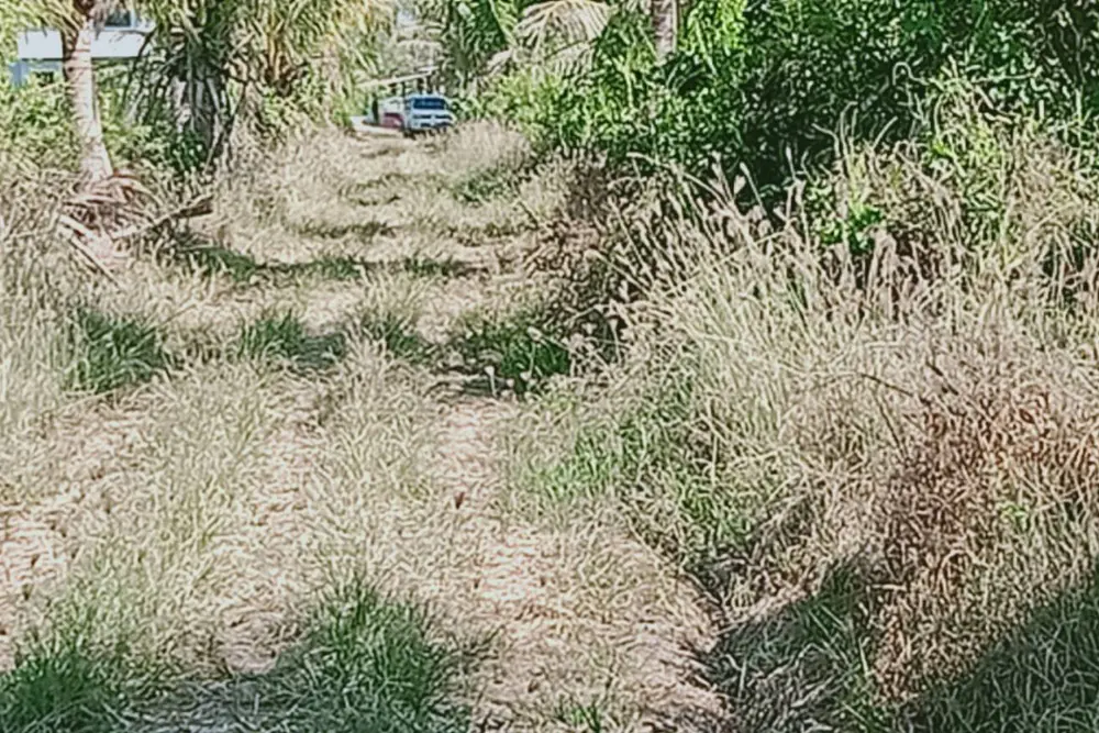 12753