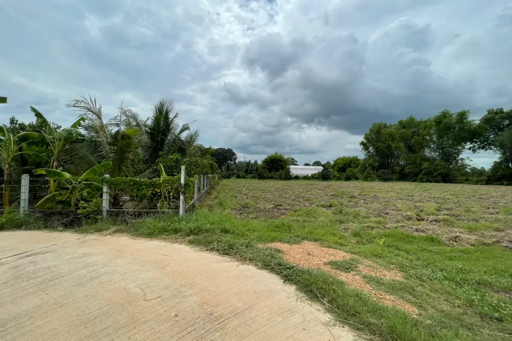 S__6299651