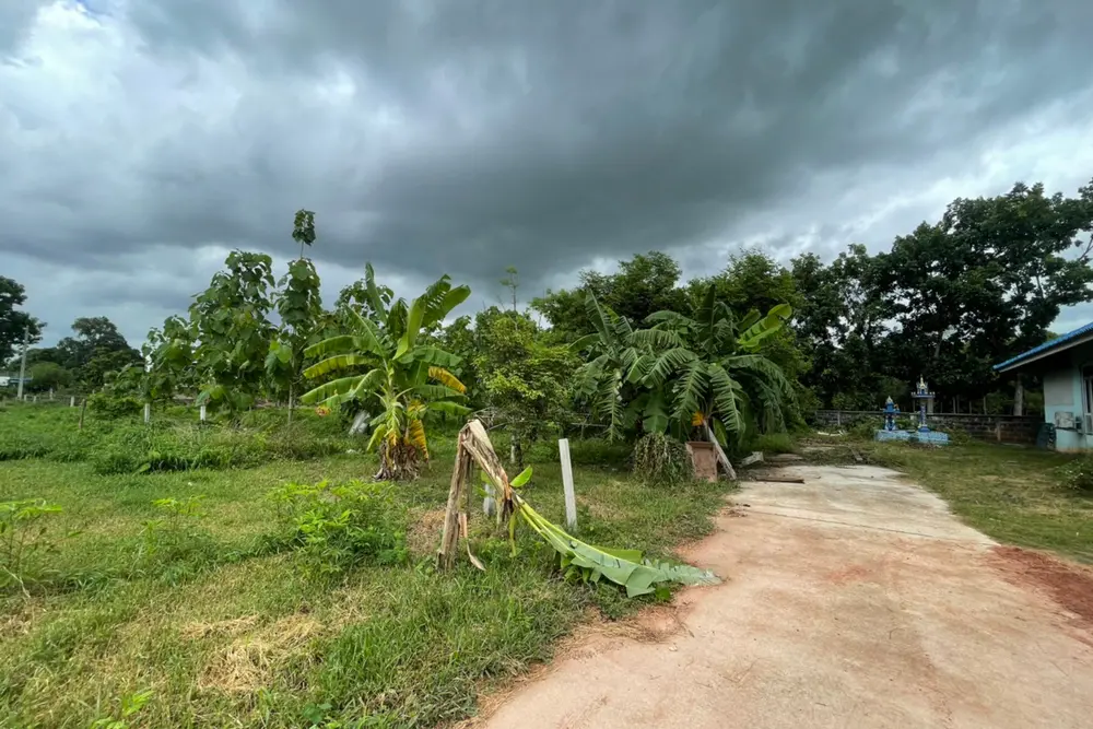 S__6299665