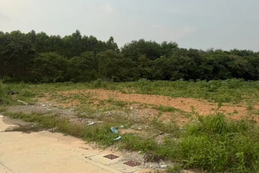 ภาพหน้าจอ_052526_020001_PM