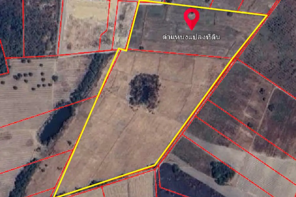 ภาพหน้าจอ_061926_114122_AM
