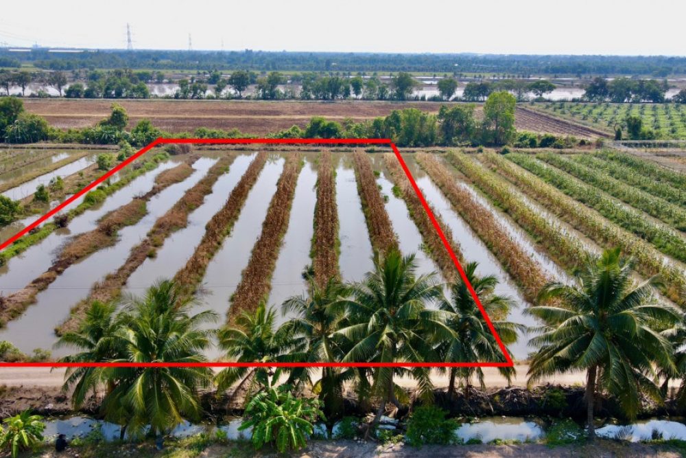 ดาวน์โหลด (1)