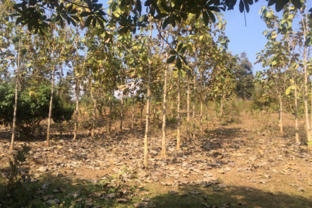 ดาวน์โหลด (10)