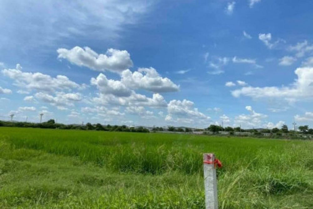 ดาวน์โหลด