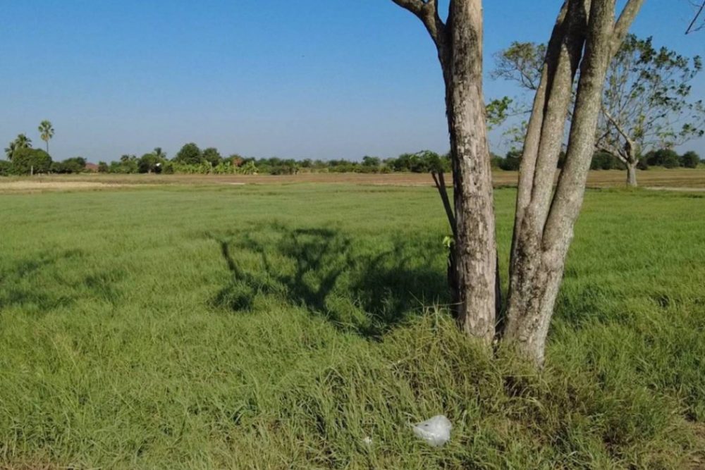 ดาวน์โหลด (2)