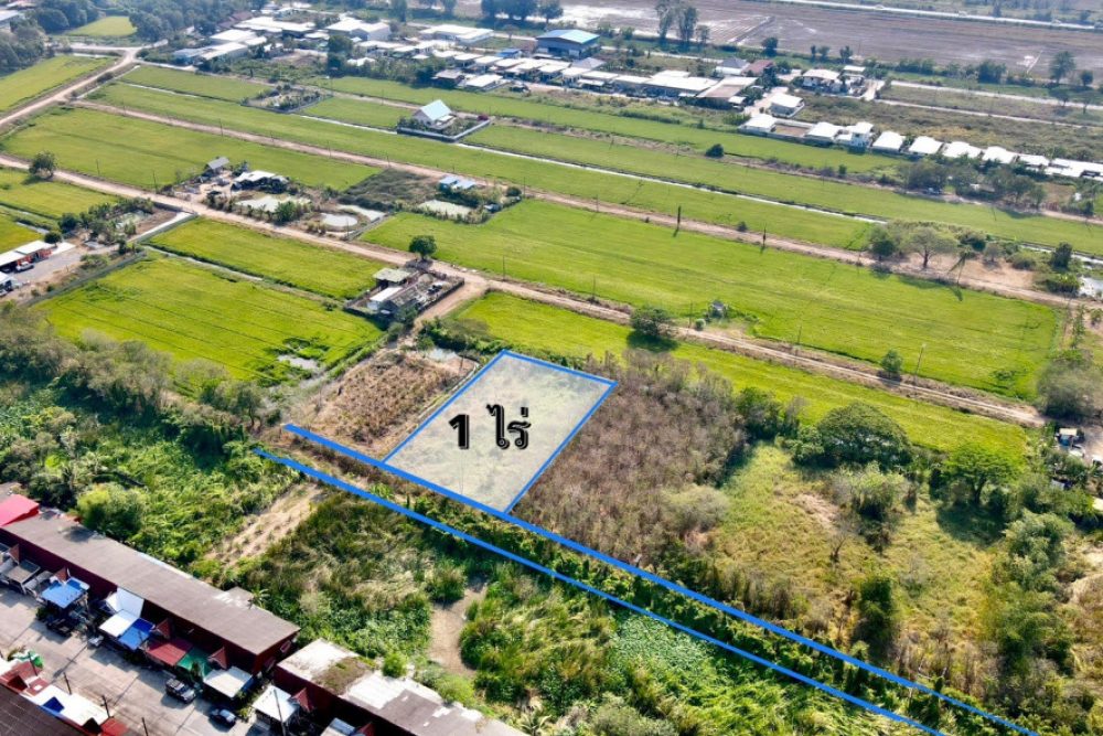 ดาวน์โหลด