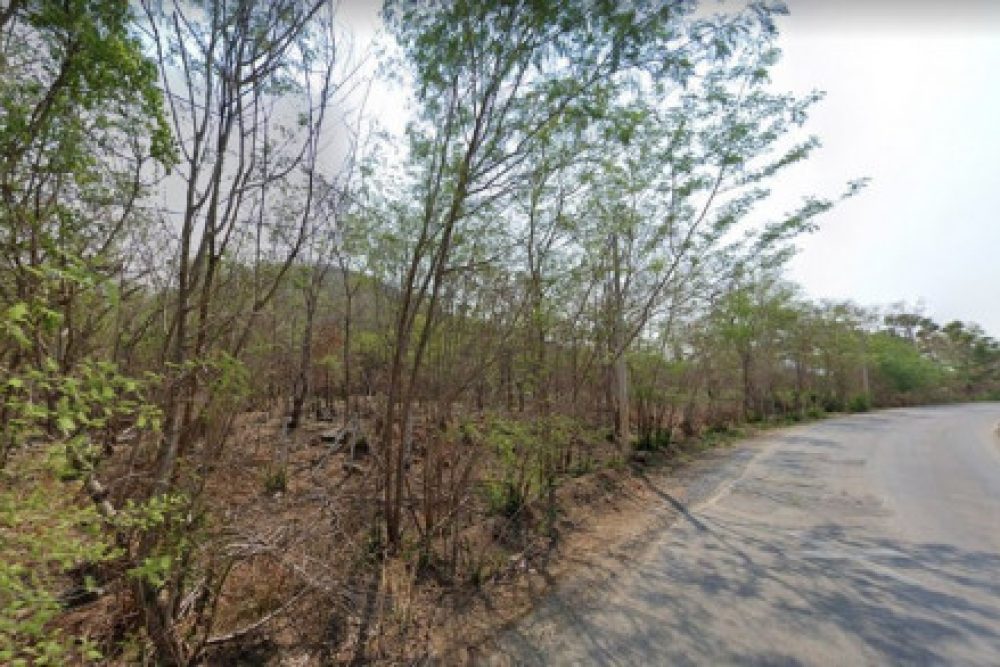 ดาวน์โหลด (5)