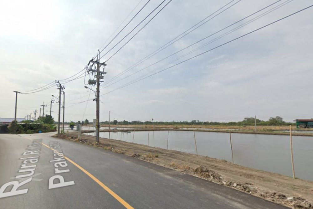 ดาวน์โหลด (5)