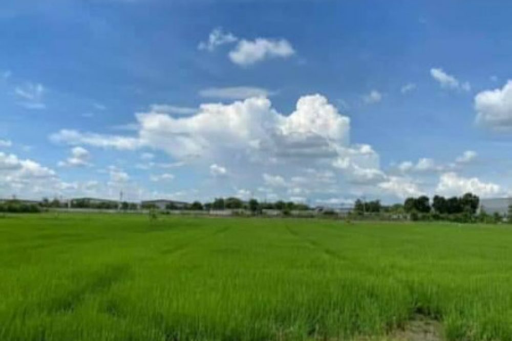 ดาวน์โหลด (5)