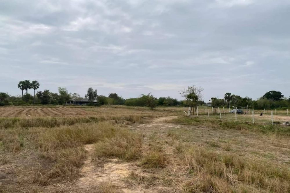 ดาวน์โหลด