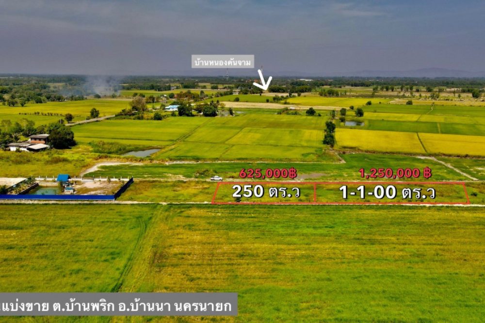 ดาวน์โหลด (6)