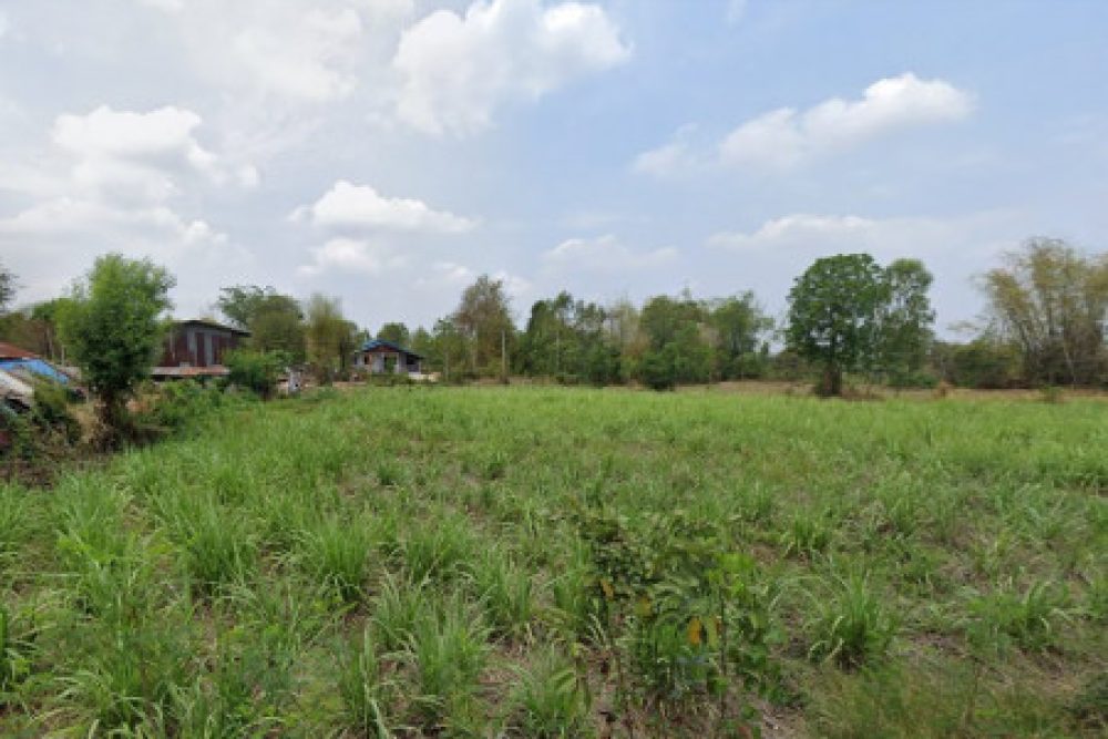 ดาวน์โหลด (6)