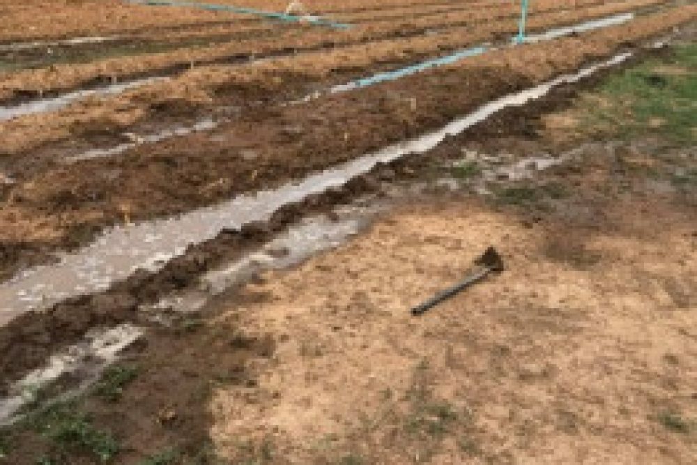 ดาวน์โหลด