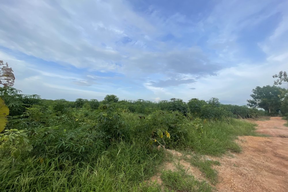 01FD07BF-A1E1-407B-AECF-B35435C4DC20