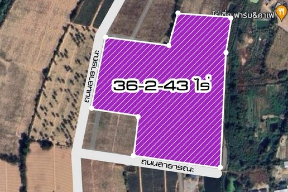 1736849006977_NEW