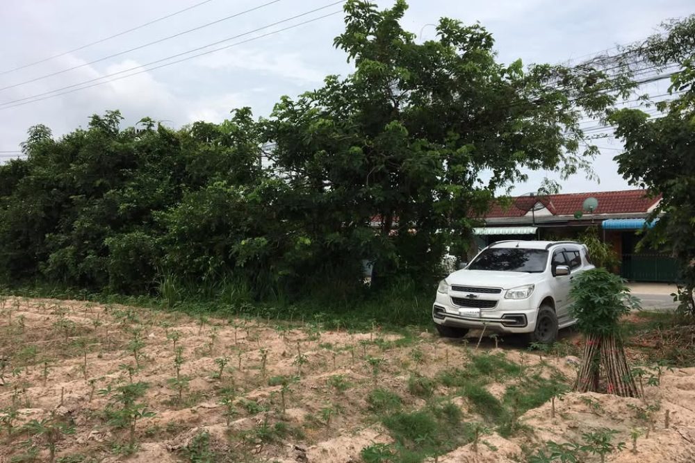 191900024_10159965311962366_7155876381673231484_n