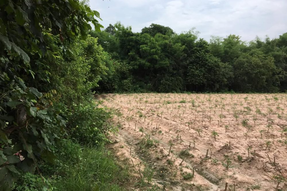 192098690_10159965311947366_1467636563017845323_n