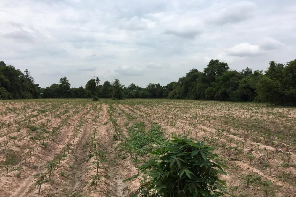 192506751_10159965311777366_1822461520013031102_n