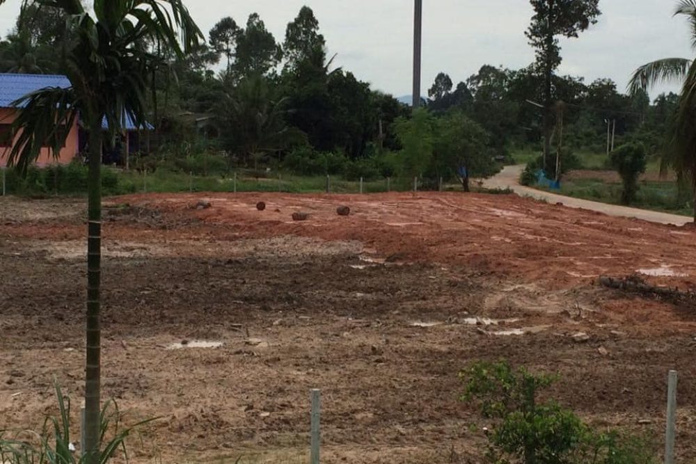 264070058_2809927665964261_1546195042568822668_n