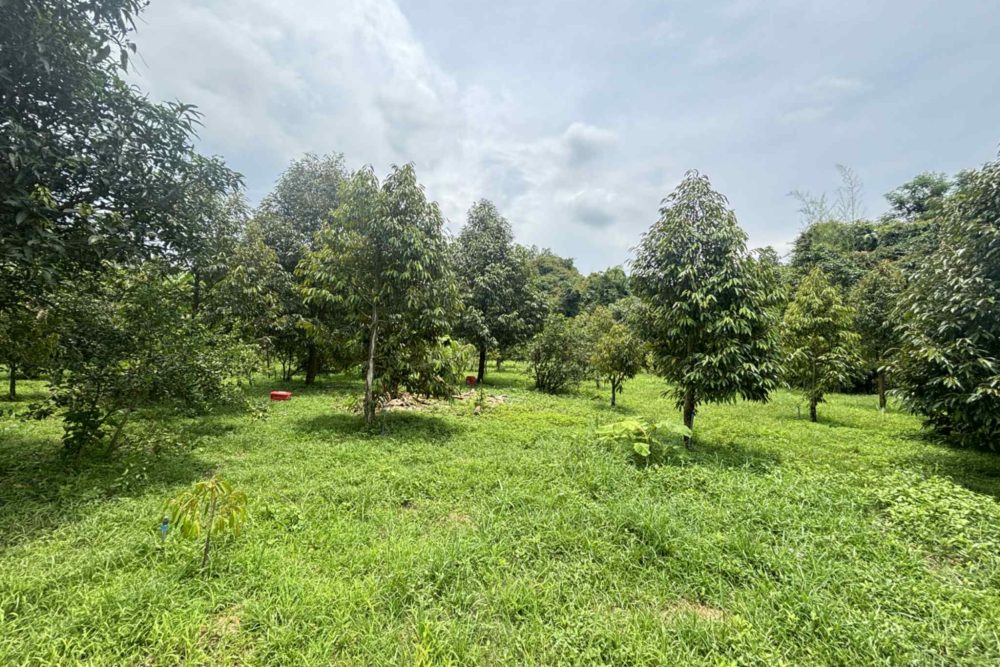 27aed293-d6c2-4c55-a492-142cb86d31e9