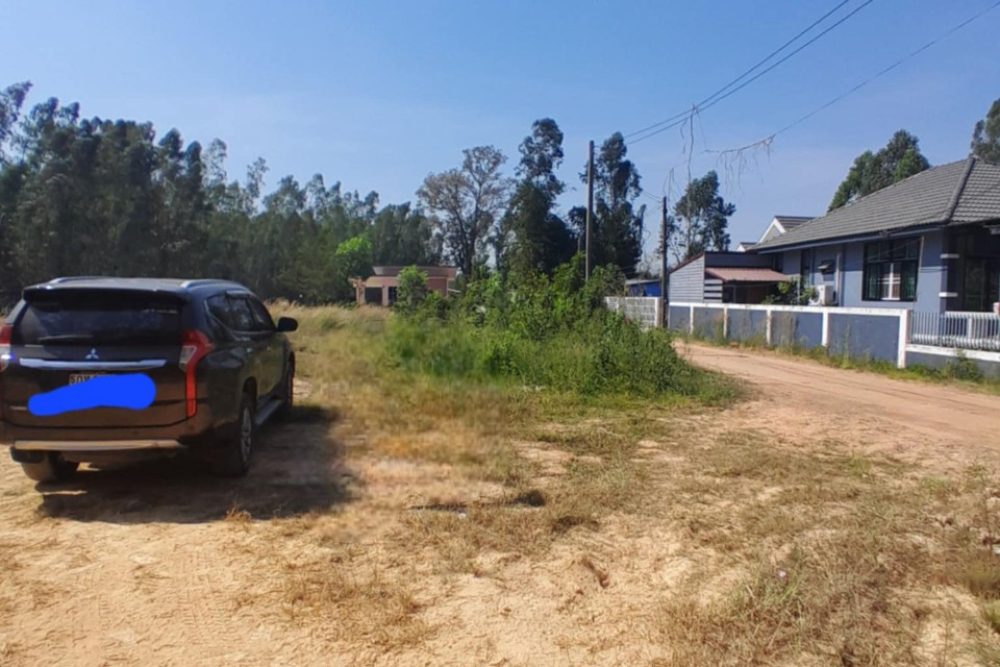 32801059-0500-4d19-80a5-d0393220d2b9-Photoroom_NEW