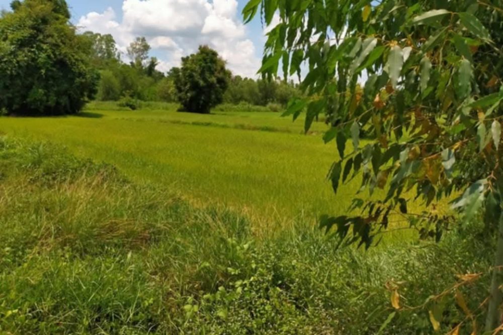 334fa752-56e2-426c-99da-cf59e4db4f4b