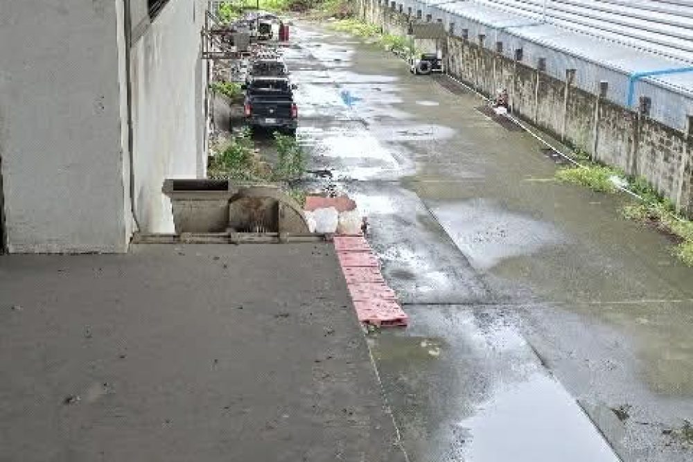 335ce334-fac3-4ea7-89d6-b485b7cb0b74