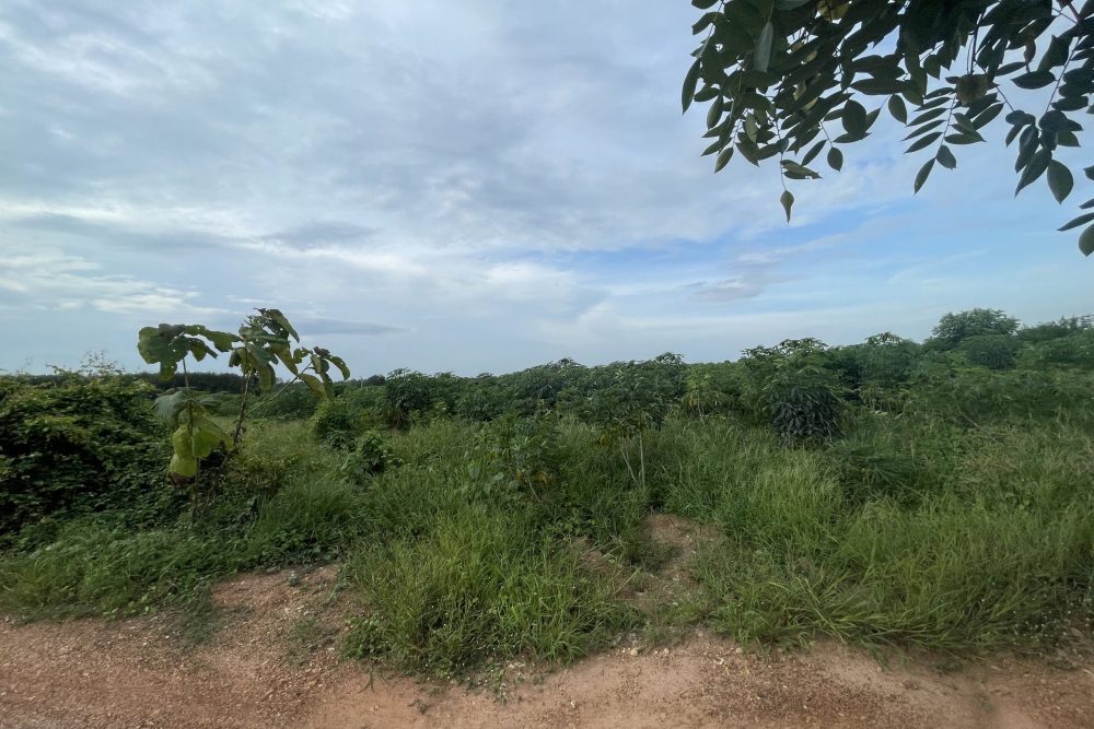 3D4BE0D7-A5CB-40BC-A793-6BC60CDFA892