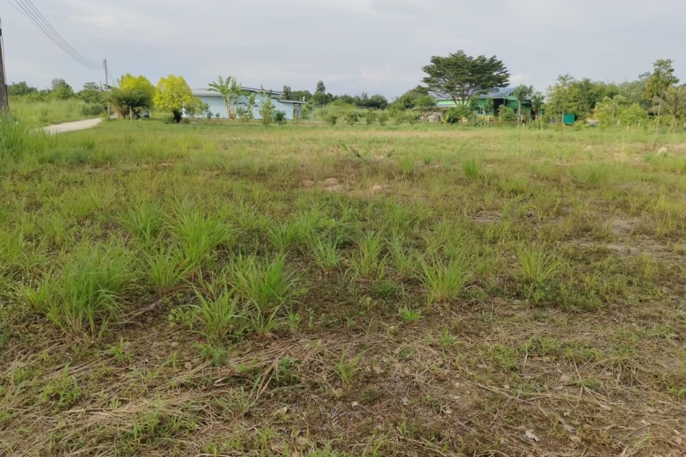 3b051980-5a80-4702-8cde-d3ee0965b361