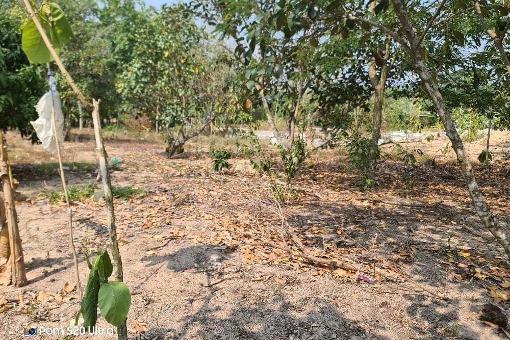 440326282_2627949707387414_4466782342091462667_n