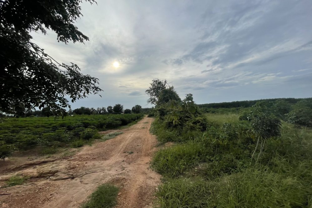 4541D688-46E8-4B8B-8CEB-D0E1F17D1D14