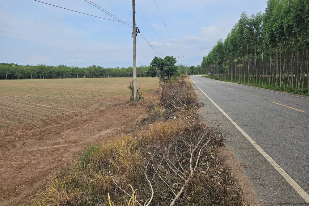 456864827_8474794772573323_7474734273443469446_n