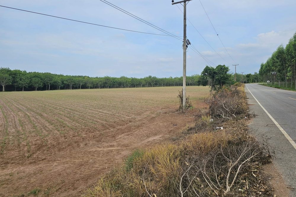 457171570_8474795169239950_4920195632669959702_n