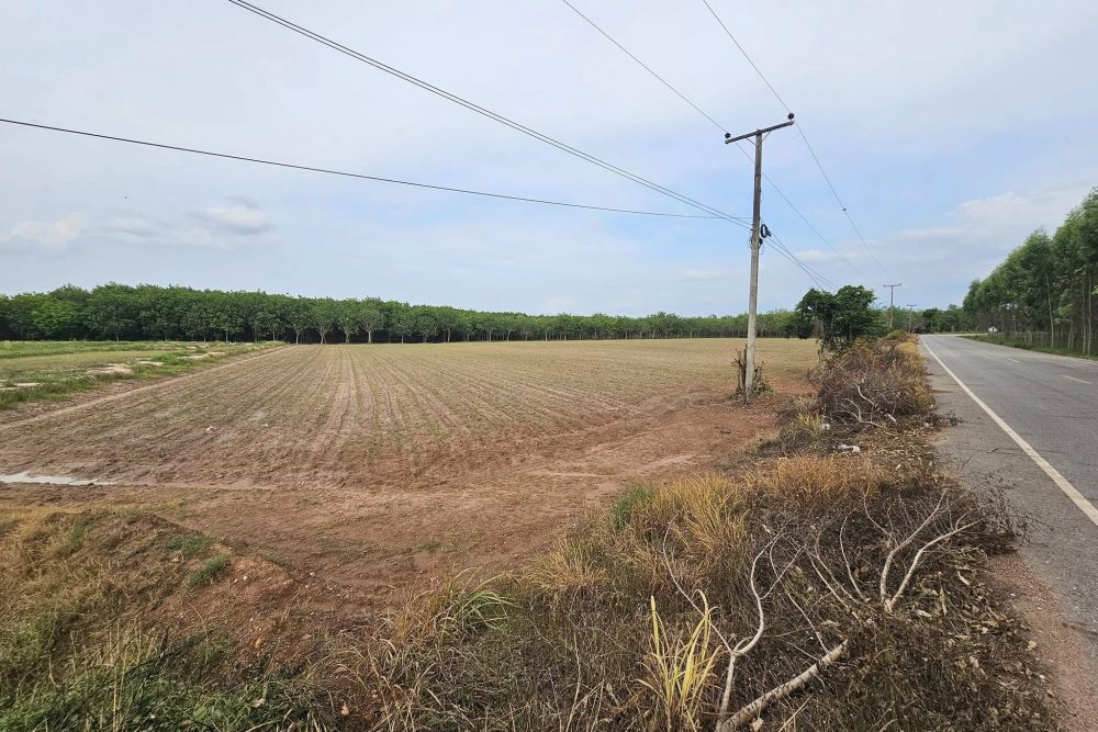 457358370_8474794435906690_7893411168576780429_n