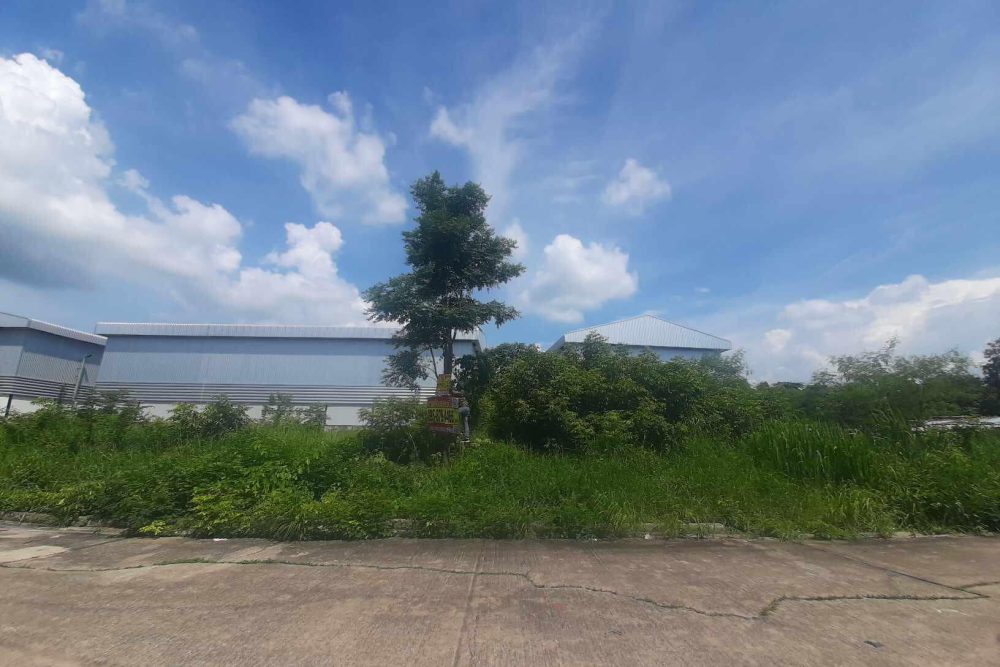 464321246_10169220881895315_8121529620973043237_n