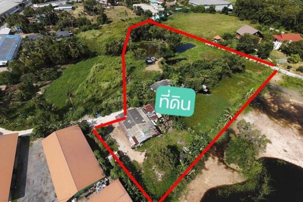 464871020_1087278793005270_5706606328998374468_n_NEW