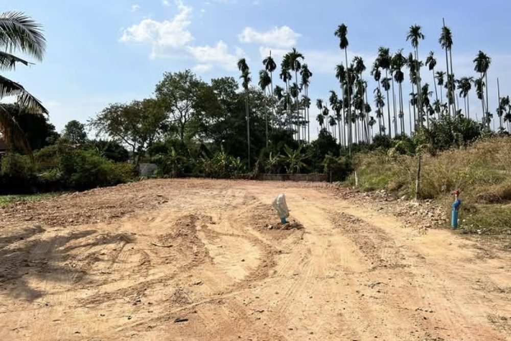 470001066_10227465733452217_2867285344255151096_n