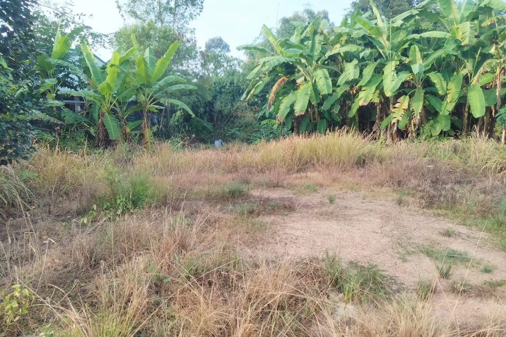 481140497_1002121198441018_1110233518623685477_n