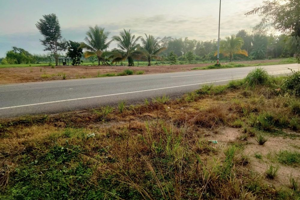 481193088_1002121065107698_3855947663953494_n