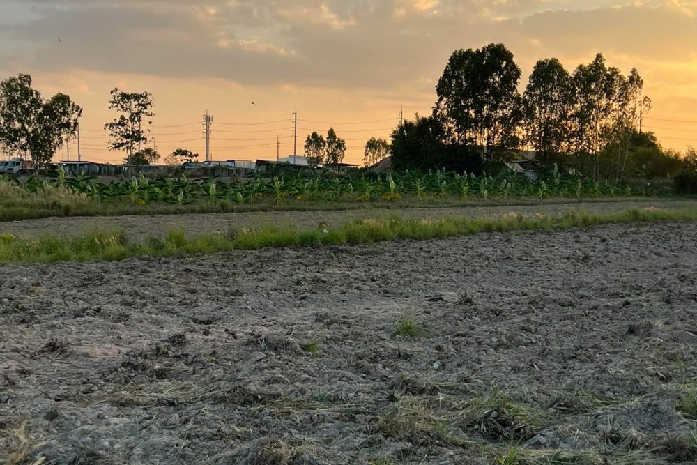 481292141_4061996784087415_884546318191613088_n