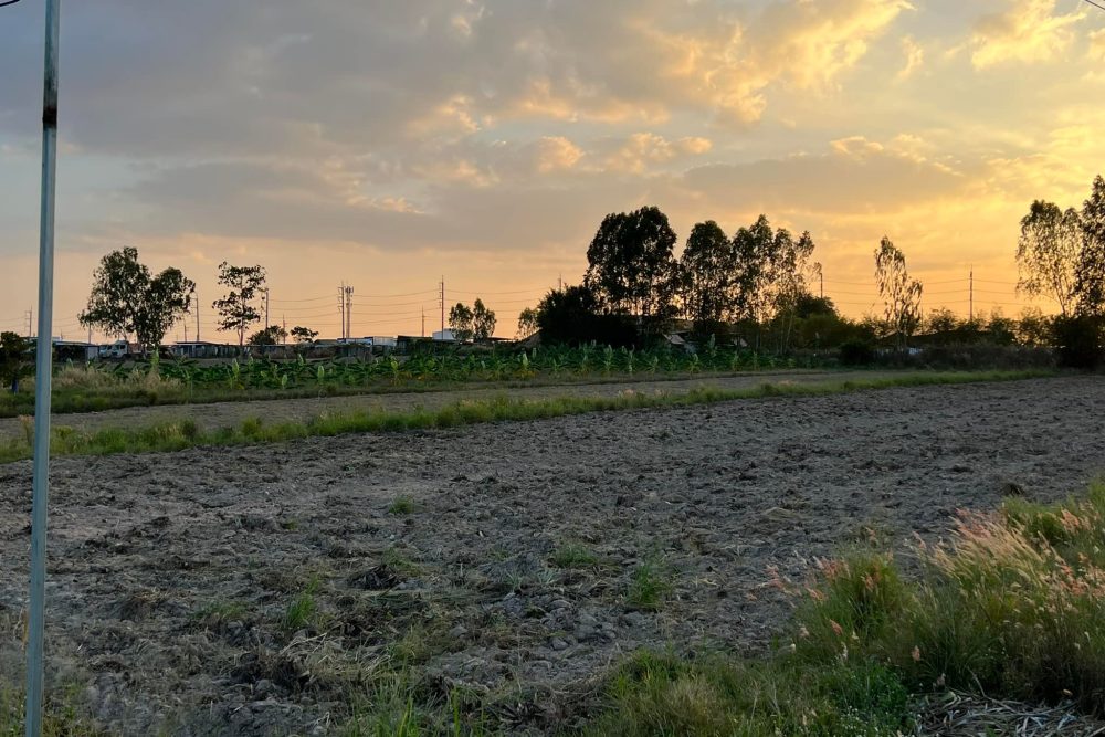 481295721_4061996810754079_5799189709813562784_n